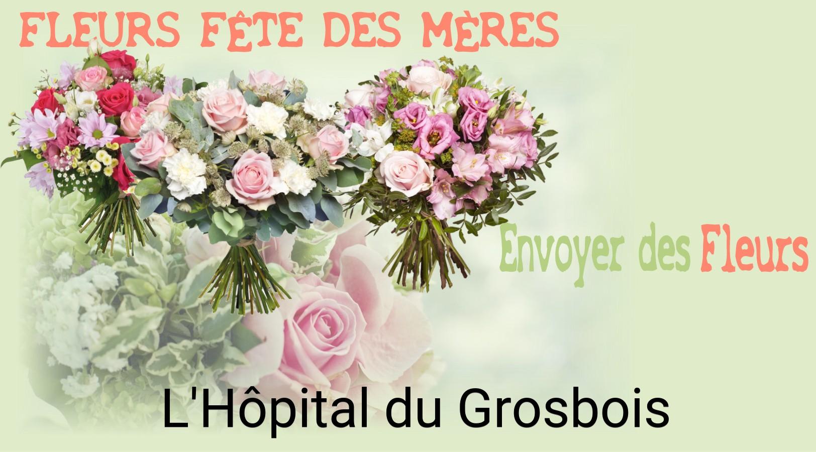 Bouquet de Fête des Mères livré à L'Hôpital-du-Grosbois